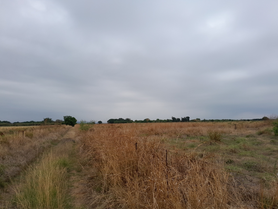 Commercial Property for Sale in Zeerust North West